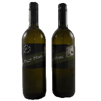 12er Aktionskarton Pinot Blanc 2023