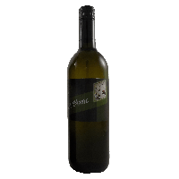 12er Aktionskarton Pinot Blanc 2023