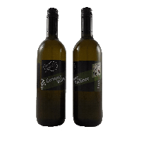 Grüner Veltliner 2021