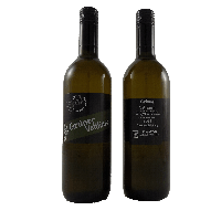 Grüner Veltliner 2021