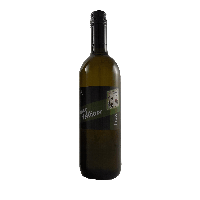 Grüner Veltliner 2023