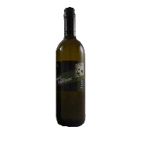 Grüner Veltliner 2021