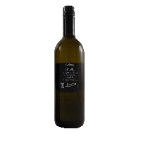 Grüner Veltliner 2023