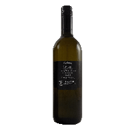 Grüner Veltliner 2021