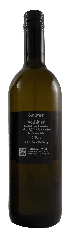 Grüner Veltliner 2023
