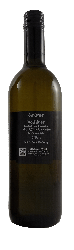 Grüner Veltliner 2021