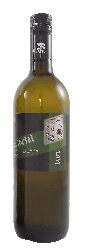 Weinviertel DAC Steinberg 2023