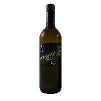 Weinviertel DAC 2023