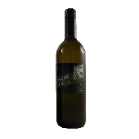 Weinviertel DAC 2023