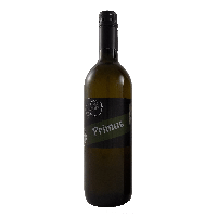 Primus 2024 Jungwein Junger Österreicher