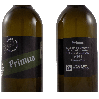 Primus 2025 Jungwein Junger Österreicher
