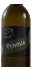 Primus 2025 Jungwein Junger Österreicher