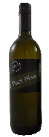 Pinot Blanc 2021