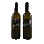 Grüner Veltliner 2023