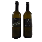 Grüner Veltliner 2023