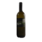 Grüner Veltliner 2023