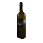 Grüner Veltliner 2021